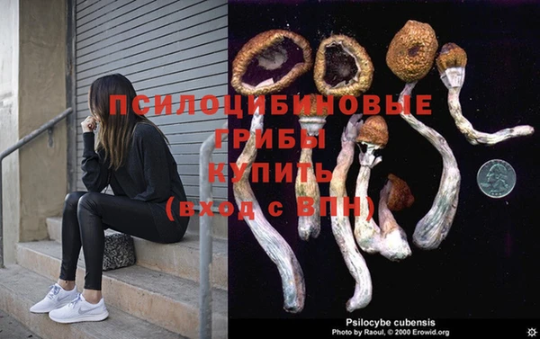 спиды Тихорецк