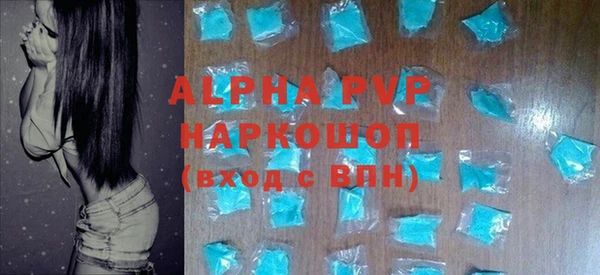 спиды Горняк
