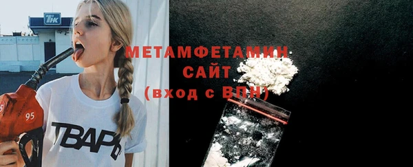 гидра Вязьма