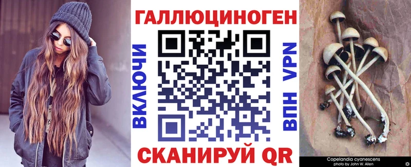 купить наркоту  Енисейск  Галлюциногенные грибы MAGIC MUSHROOMS 